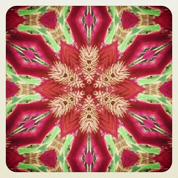 Instagram Photograph - #red #green And #pink #hippie #mandala by Pixie Copley