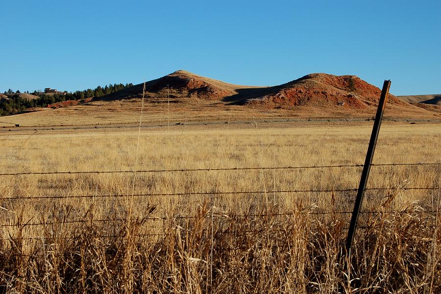 Red Hill Pasture Photograph by Greni Graph