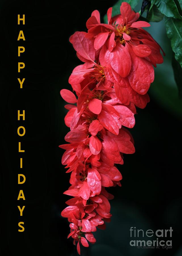 Red Holiday Greeting Card Photograph by Sabrina L Ryan