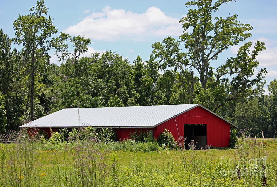 Architecture Photograph - Red Horse Barn by Suzanne Gaff