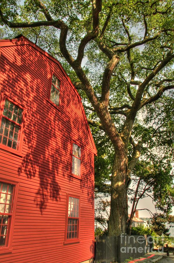 Red House Photograph by Jonathan Harper