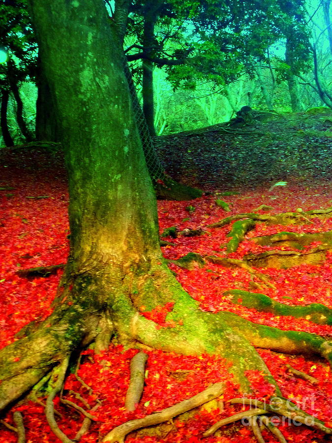 Red in Japan Photograph by Kumiko Mayer