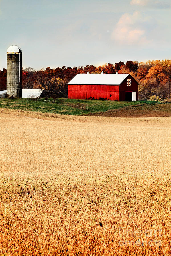 Red Kentucky Barn Photograph by Stephanie Frey