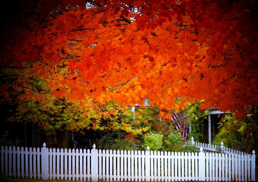 Red Leaves and White Fence Photograph by Joyce Kimble Smith