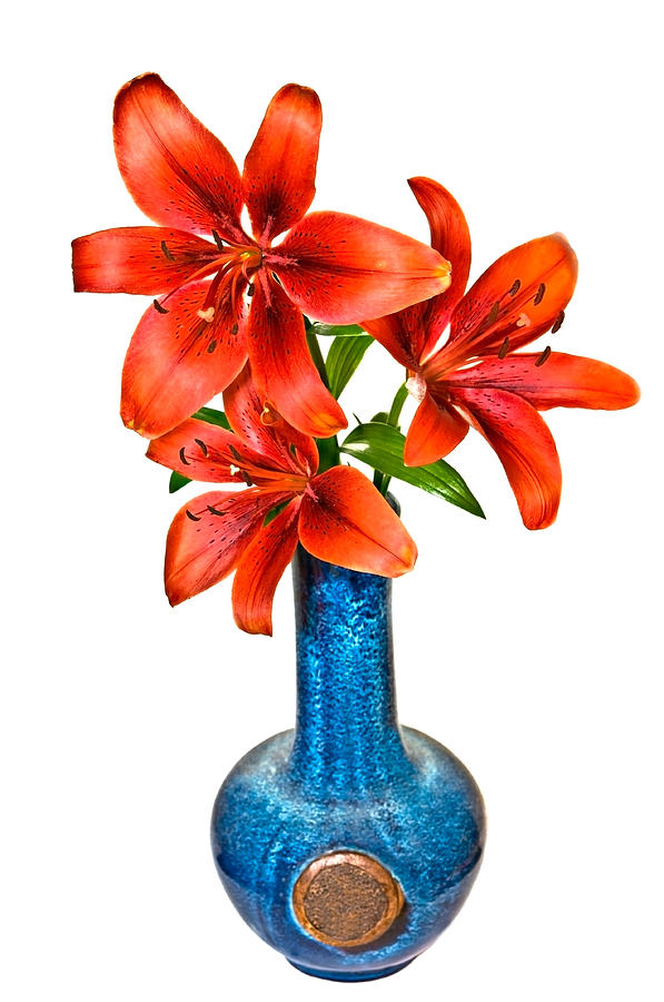 Nature Photograph - Red Lilies in Blue Vase by Susan Leggett