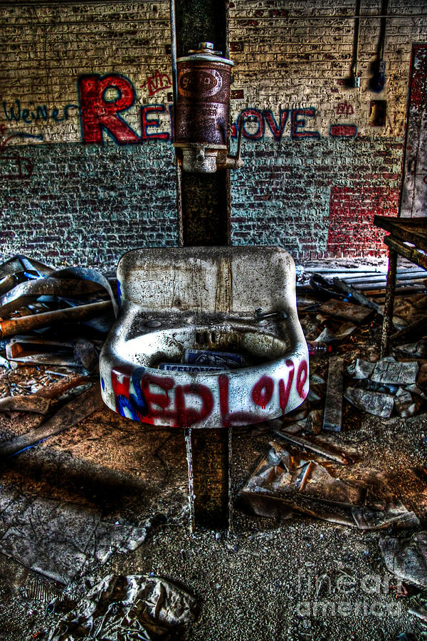 Red Love Photograph by Brenda Giasson