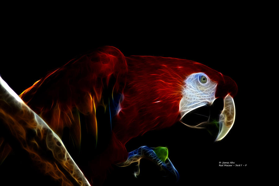 Red Macaw - 3687 - F Digital Art by James Ahn