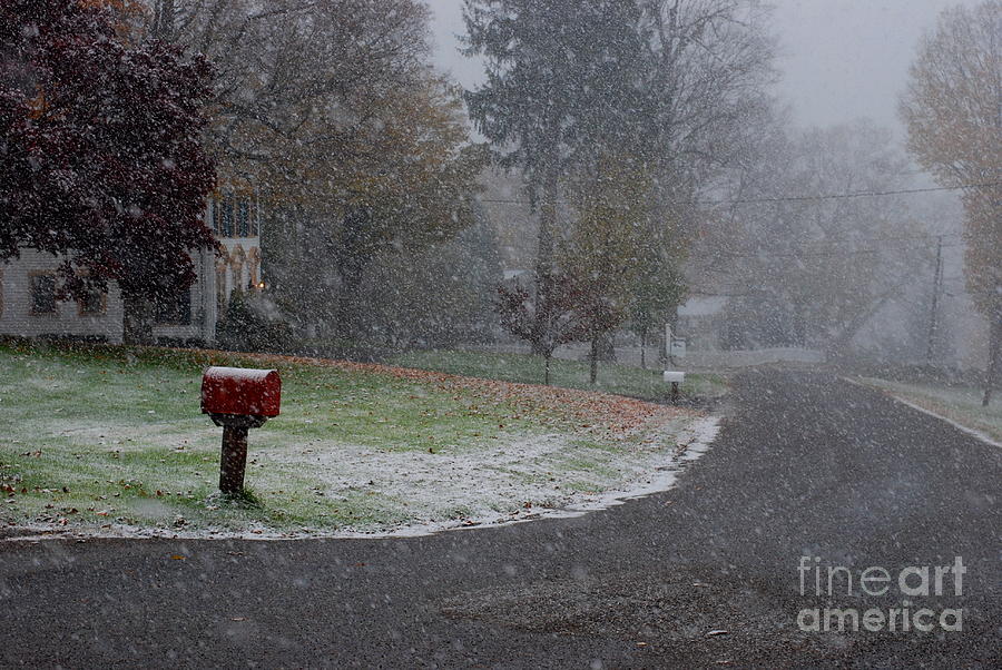 Red Mailbox in Autumn Snow Photograph by Andrea Simon