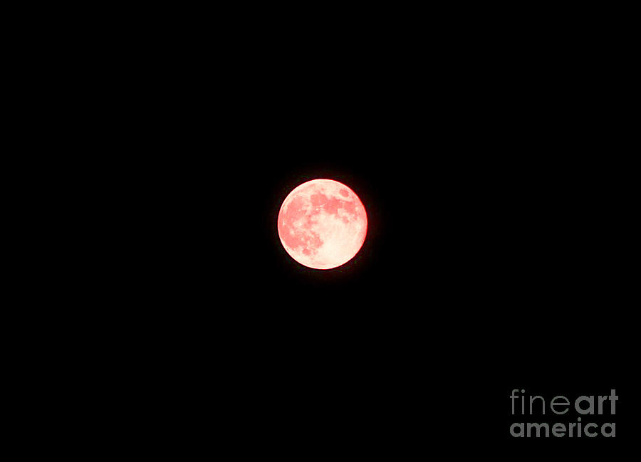 Full Moon Photograph - Red moon by Monica Poole