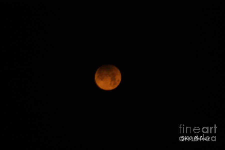 Red Moon Photograph by Yumi Johnson
