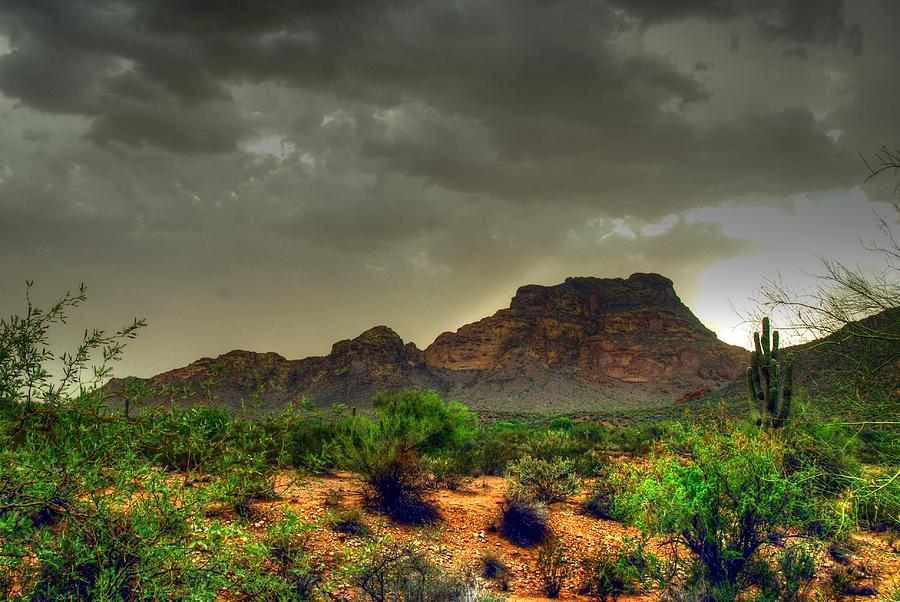 Desert Photograph - Red Mountain  by Tam Ryan