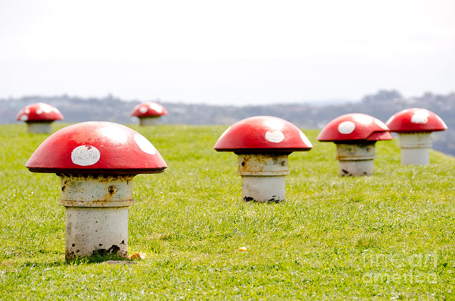 Red Mushrooms of Steel Photograph by Yurix Sardinelly