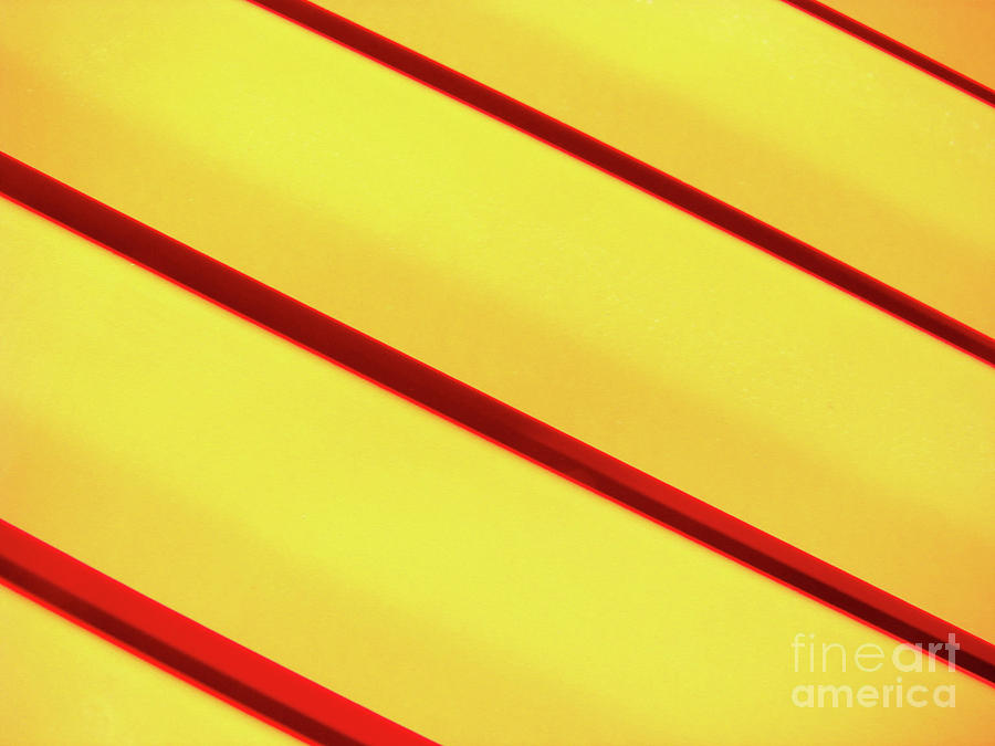 Red On Yellow Photograph by Mark Holbrook