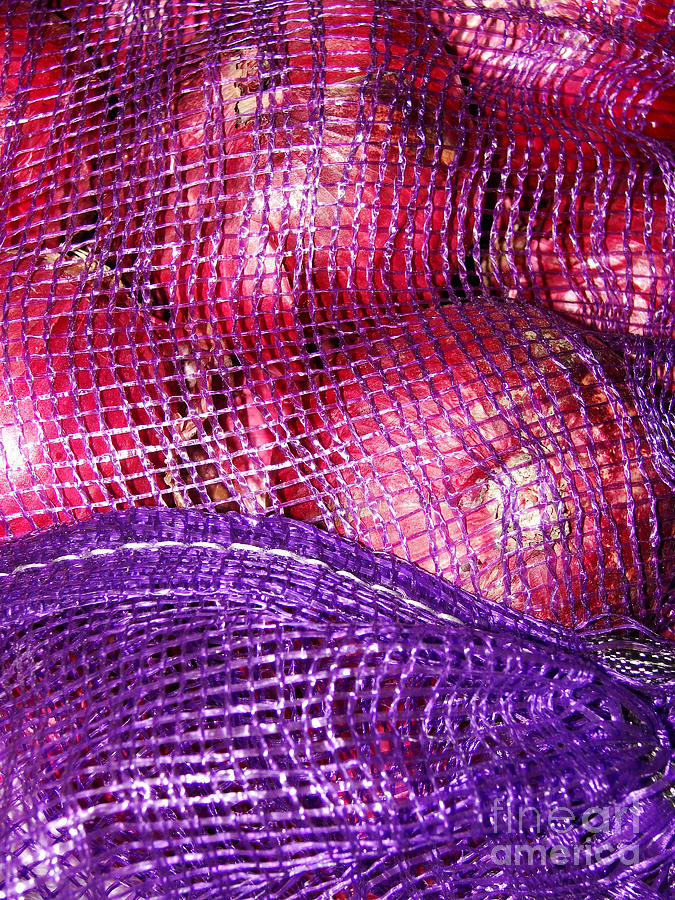 Red Onions in Purple Photograph by Mark Holbrook