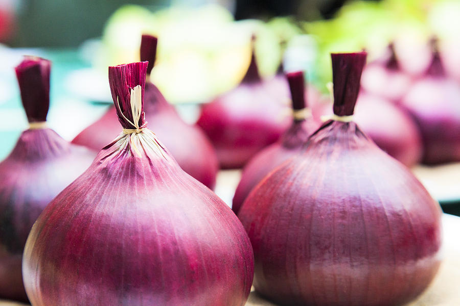 Red Onions Photograph by Maj Seda