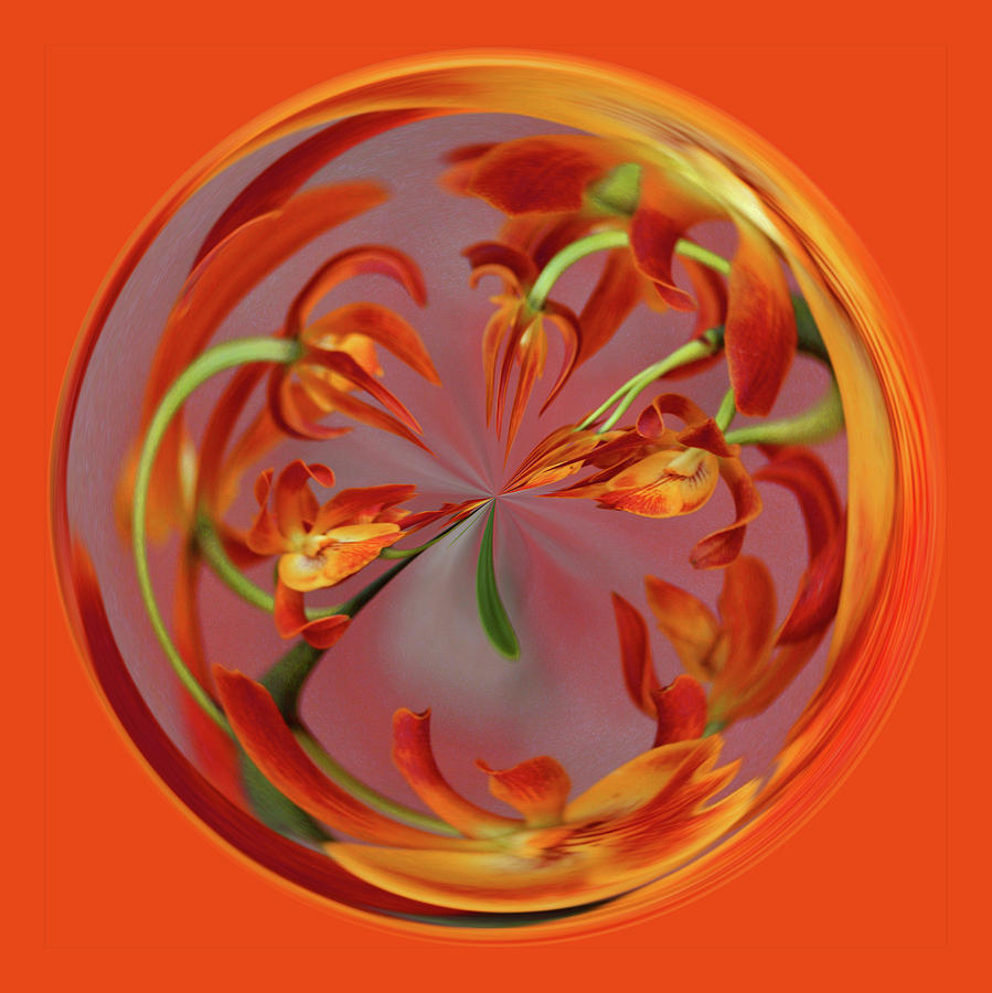 Red Orange Orchid Orb Photograph by Bill Barber