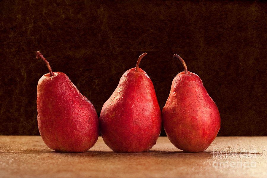 Red Pears Photograph by Cindy Singleton