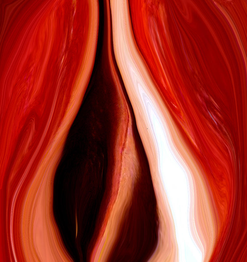 Red Pepper Abstract1 Photograph by Linnea Tober