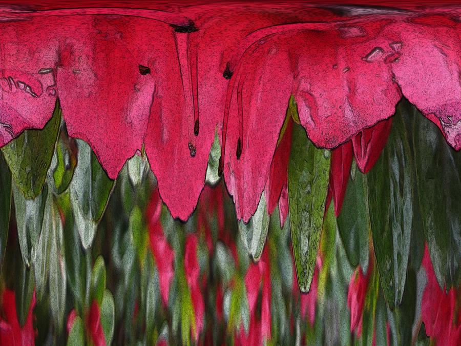 Red Petal Falls Digital Art by Tim Allen