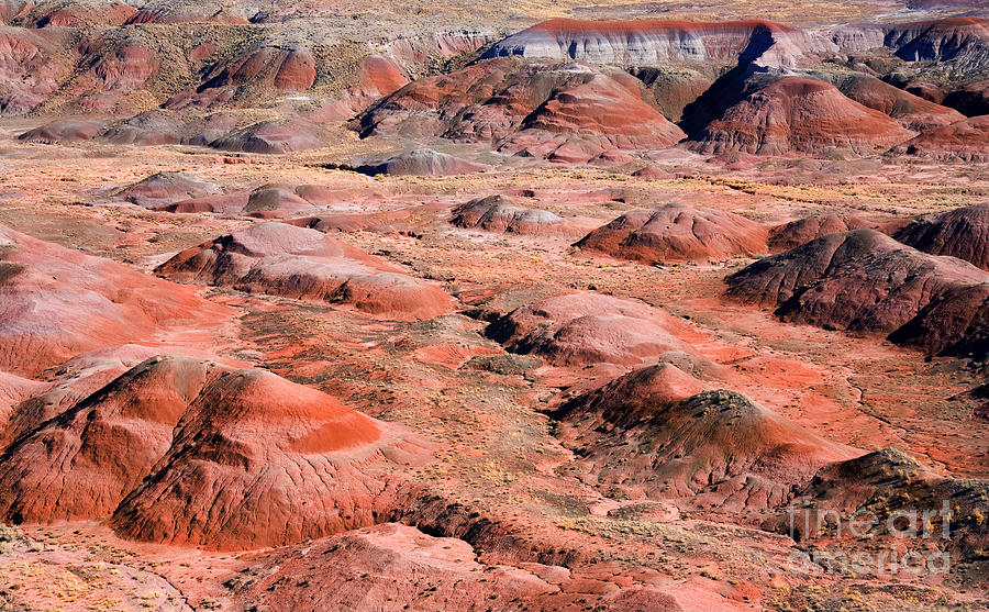 Desert Photograph - Red Planet by Michael Dawson
