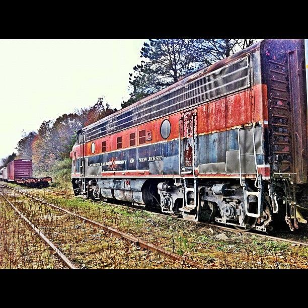 Tree Photograph - #red #railroad #trains #trainporn by Matthew Loving