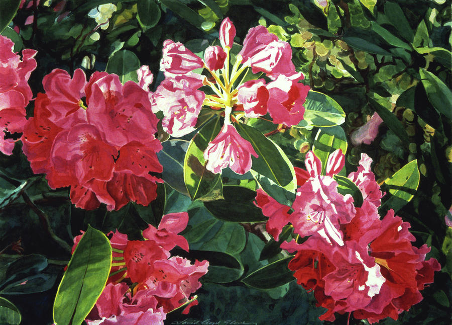 Red Rhodos Painting by David Lloyd Glover