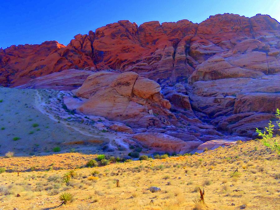 Red Rock Canyon 1 Photograph by Randall Weidner