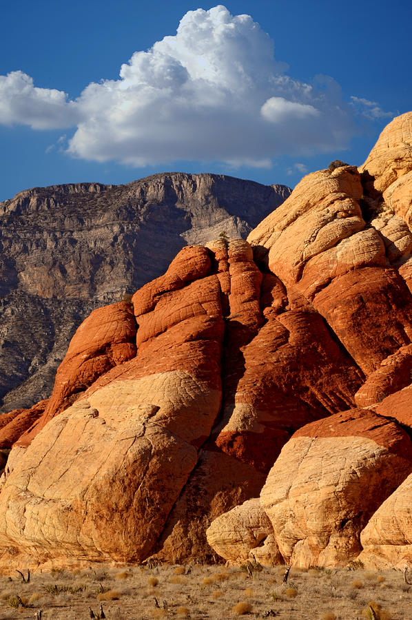 Red Rock Canyon Photograph by Anthony Citro