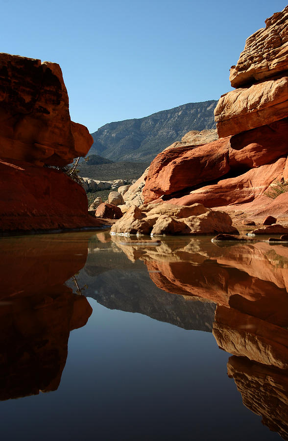 Desert Photograph - Red Rock Canyon Water by Chris Brannen