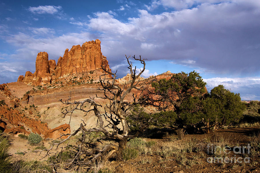 Red Rock Castle Photograph by Adam Jewell