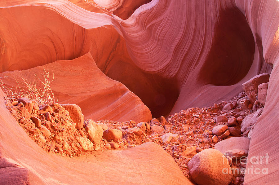 Antelope Canyon Photograph - Red Rock Gems by Bob and Nancy Kendrick