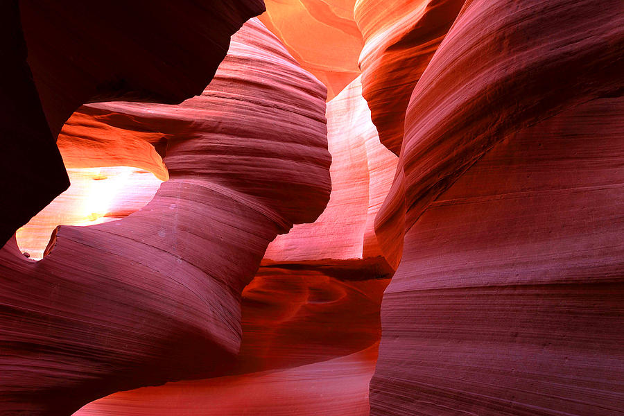 Nature Photograph - Red Rock Utah by Zarija Pavikevik