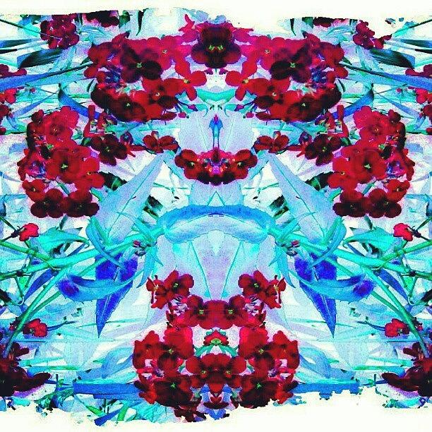 Abstract Photograph - Red Rorschach Flowers #abstract by Marianne Dow