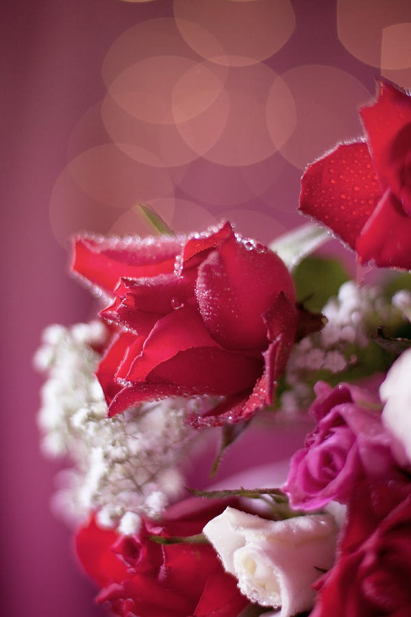 Red Rose Bouquet Bokeh Still Life Photograph by Ethiriel Photography