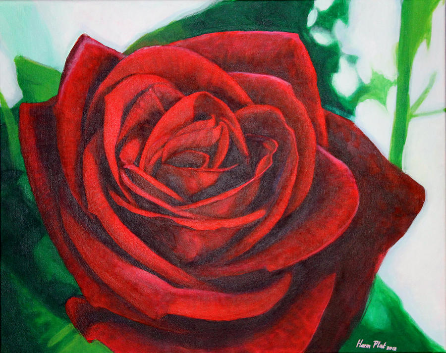 Red Rose Painting by Harm Plat
