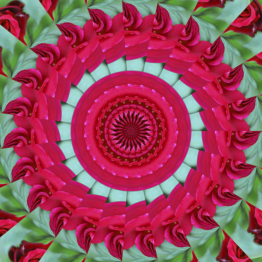 Red Rose Mandala Digital Art by Bill Barber