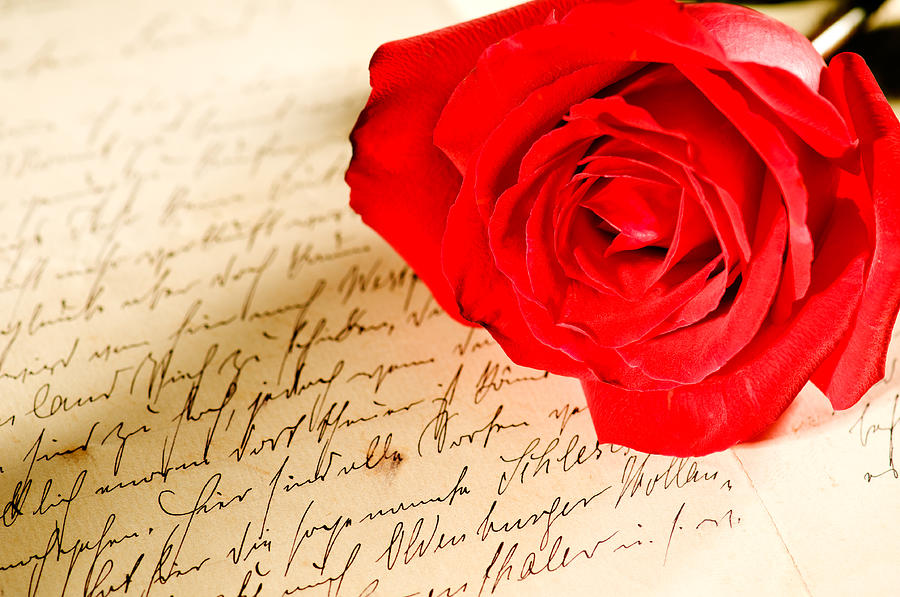 Nature Photograph - Red rose over a hand written letter by U Schade