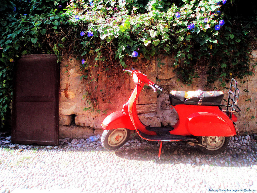 Flower Photograph - Red Scooter Flower Dreams by Anthony Novembre