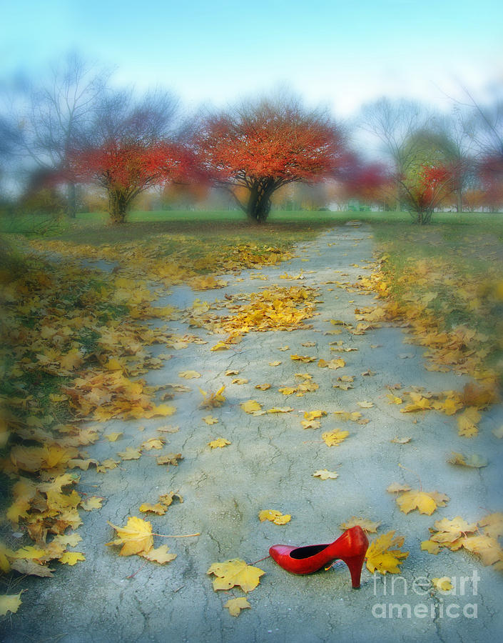 Red Shoe And Autumn Leaves Photograph by Jill Battaglia