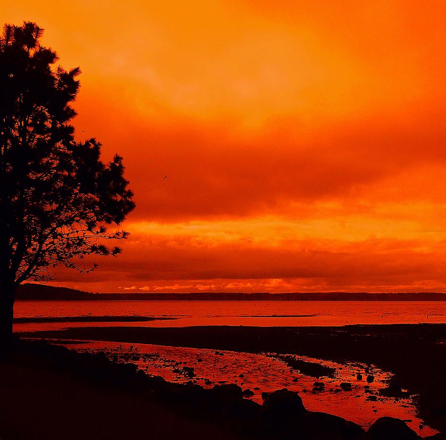 Red Sky At Night Photograph by Lori Seaman