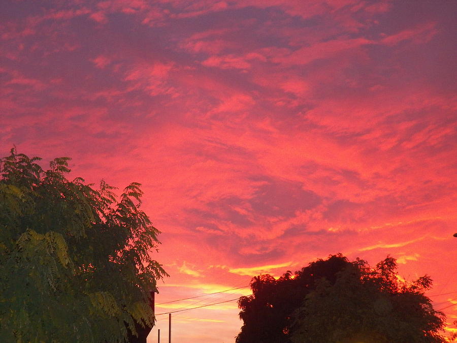 Red Sky at Night Shepherds Delight Photograph by Ronald Osborne