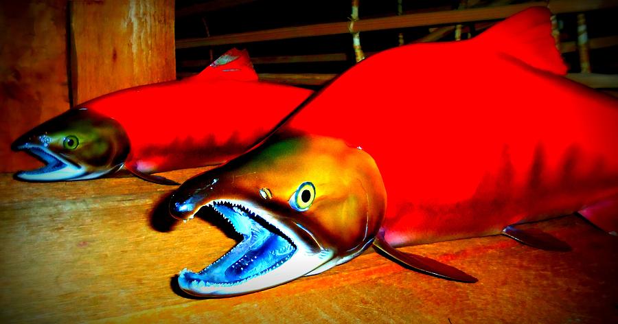 Red Snappers Digital Art by Randall Weidner - Fine Art America