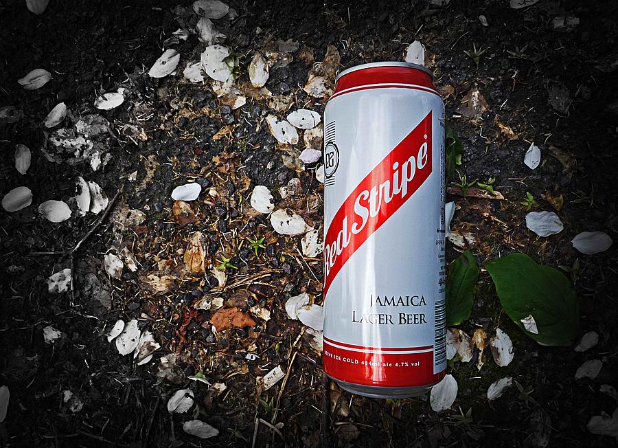 Red Stripe Photograph by Charles Stuart