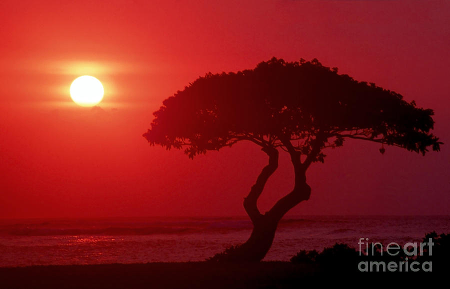 Red Sunset Photograph by Paul Topp