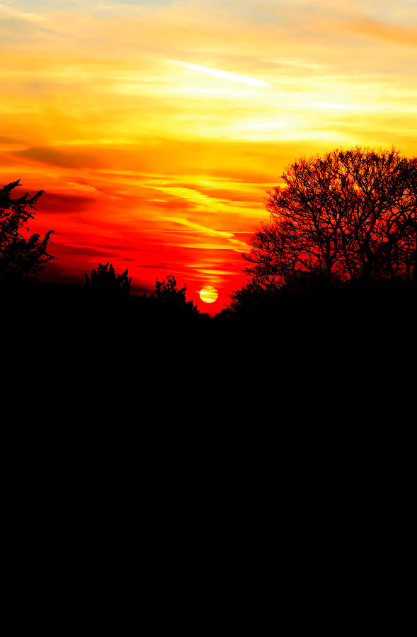 Red sunset vertical Photograph by Jasna Buncic