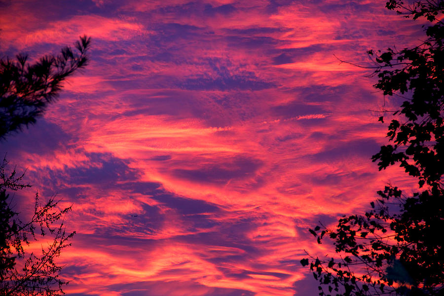 Red Sunset  Photograph by Yelena Rubin