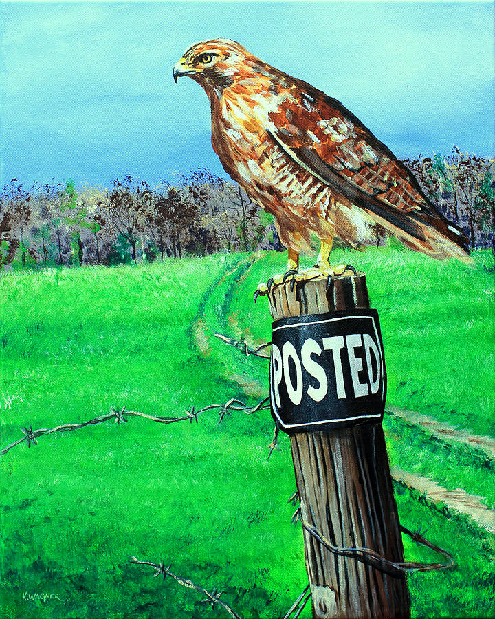 Red Tailed Hawk and Early Winter Wheat Painting by Karl Wagner