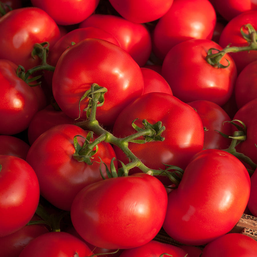 Red tomatoes Photograph by Philippe Taka