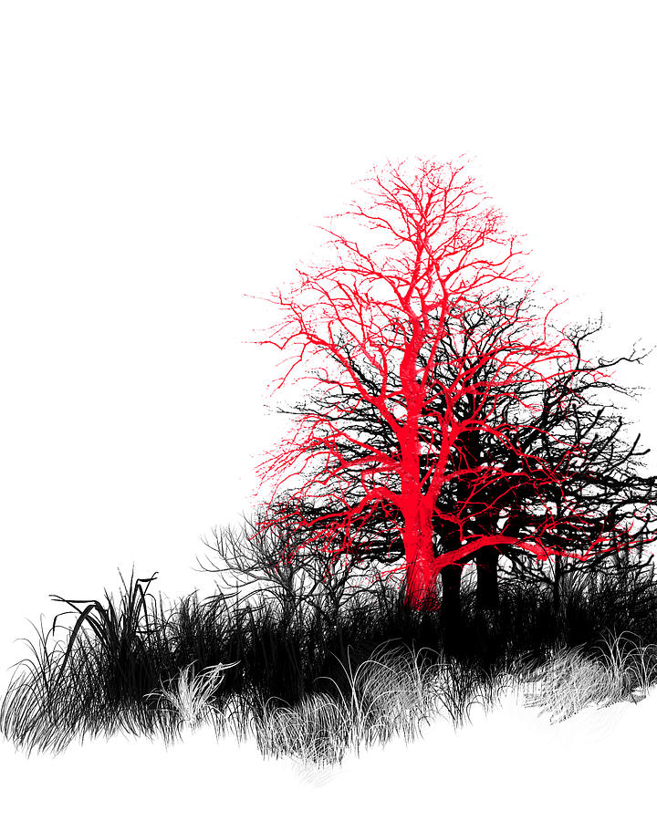 Red Tree No.2 Photograph