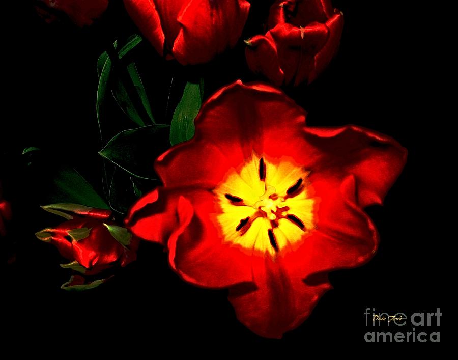 Tulip Digital Art - Red Tulips by Dale   Ford